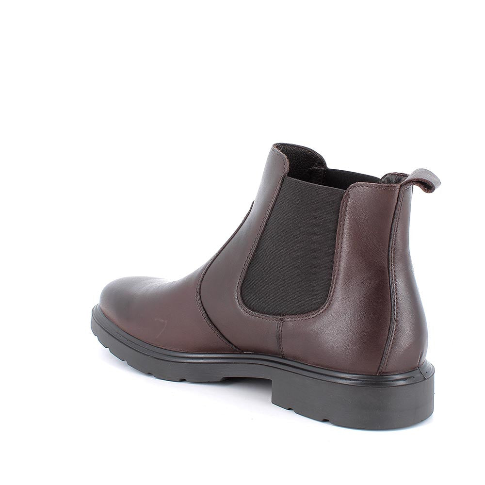Igi&co Beatles Chelsea boots - testa di moro - Igi&co
