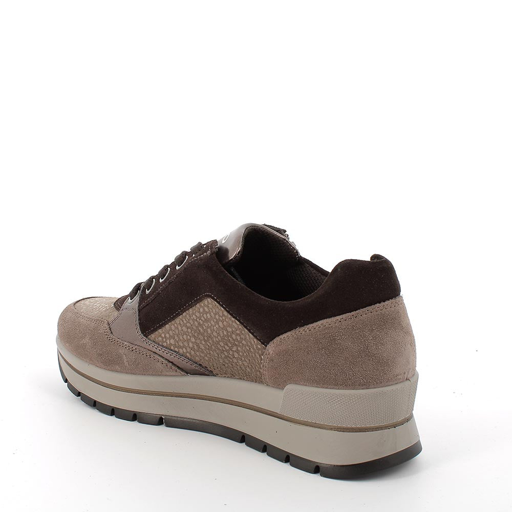 Igi&co Sneakers chiusura zip e lacci - marrone (memory foam) - Igi&co