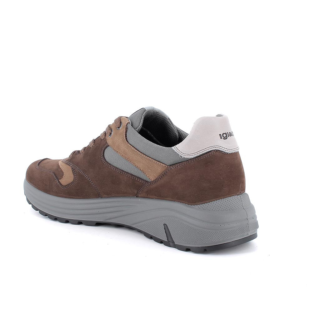 Igi&co Sneakers uomo in pelle - marrone caffè (memory foam) - Igi&co