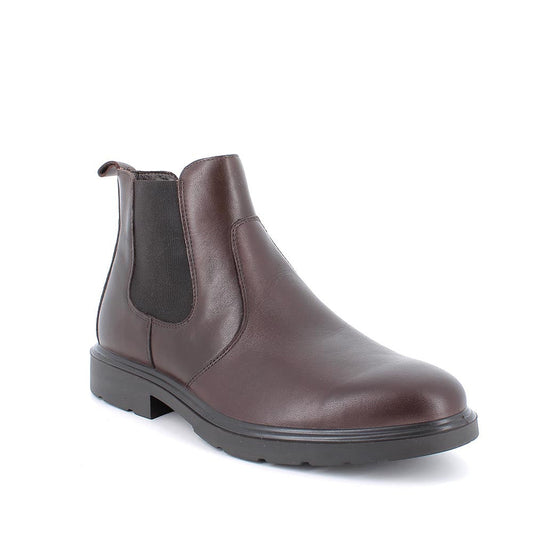 Igi&co Beatles Chelsea boots - testa di moro - Igi&co