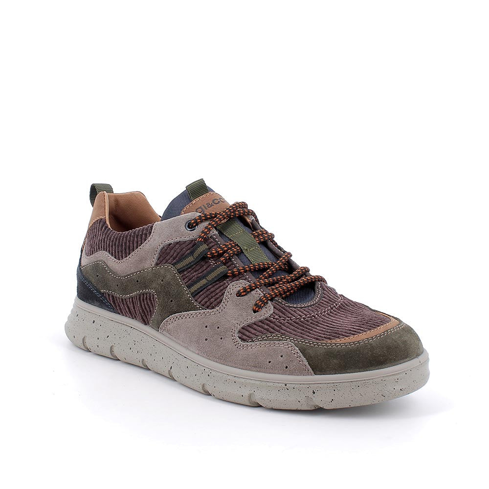 Igi&co Sneakers da uomo marrone grigio verde (memory foam) - Igi&co