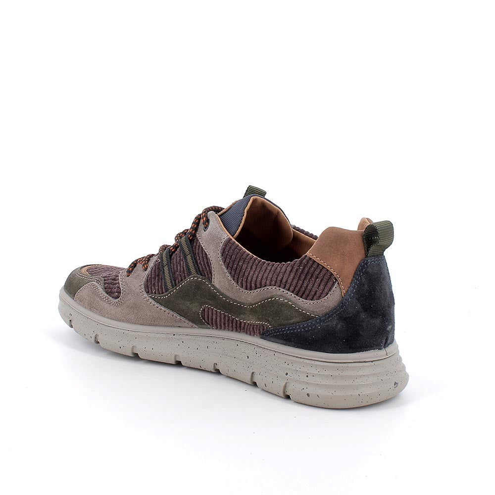 Igi&co Sneakers da uomo marrone grigio verde (memory foam) - Igi&co