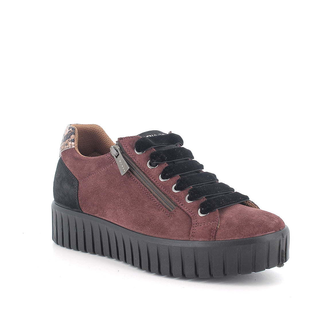 Igi&co Sneakers con platform e zip /Bordeaux - Igi&co